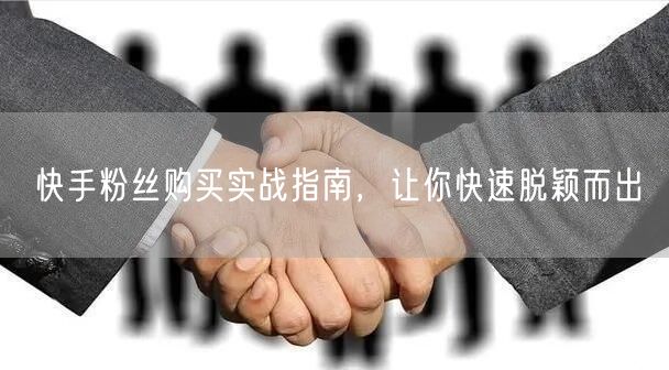 快手粉丝购买实战指南,让你快速脱颖而出