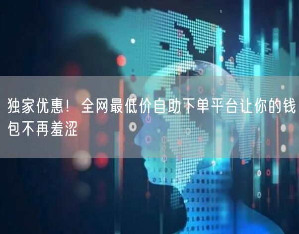 独家优惠!全网最低价自助下单平台让你的钱包不再羞涩