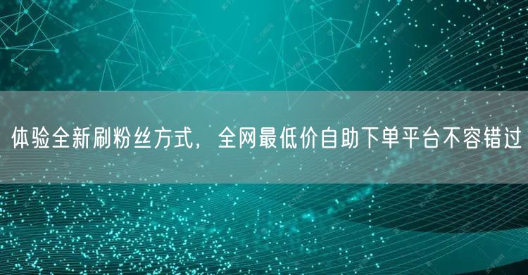 体验全新刷粉丝方式，全网最低价自助下单平台不容错过