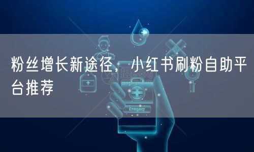粉丝增长新途径,小红书刷粉自助平台推荐