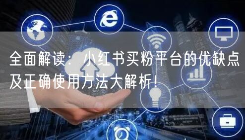 全面解读:小红书买粉平台的优缺点及正确使用方法大解析!