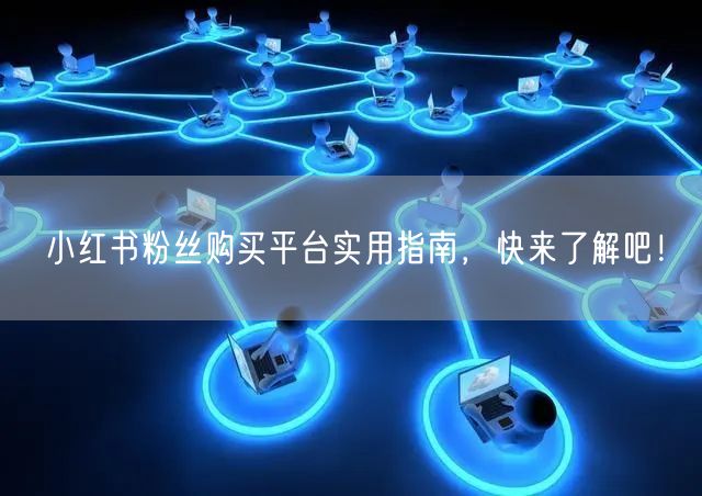 小红书粉丝购买平台实用指南,快来了解吧!