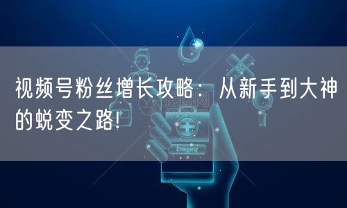 视频号粉丝增长攻略:从新手到大神的蜕变之路!