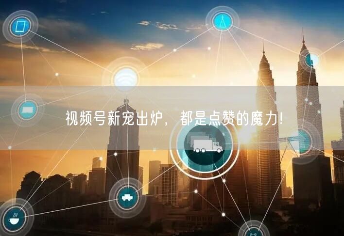视频号新宠出炉,都是点赞的魔力!